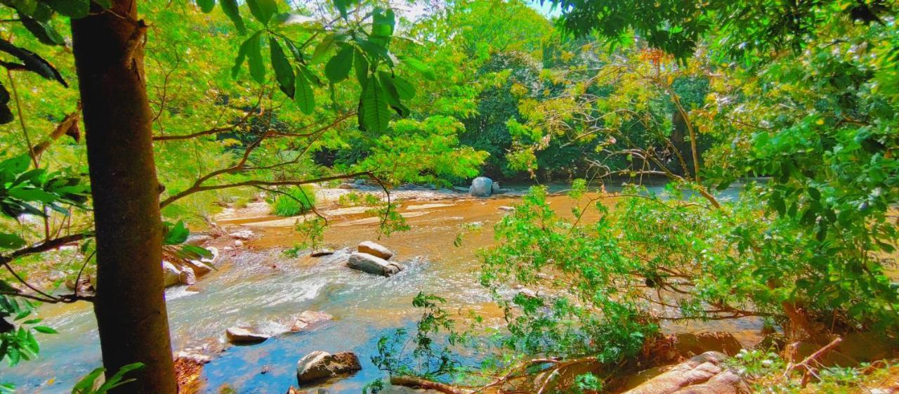 Casa Kumake Tayrona Villa El Zaino Dış mekan fotoğraf