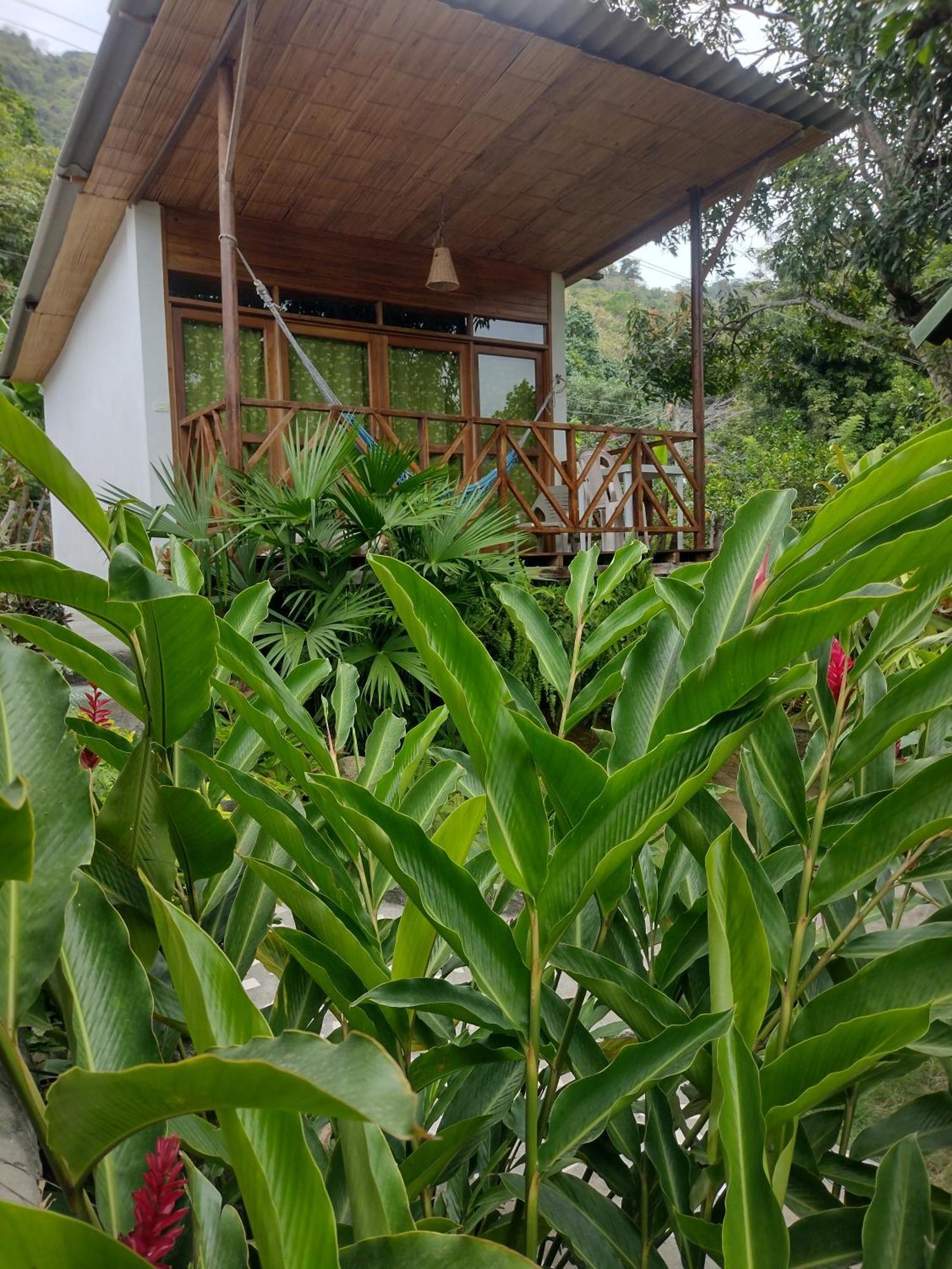 Casa Kumake Tayrona Villa El Zaino Dış mekan fotoğraf
