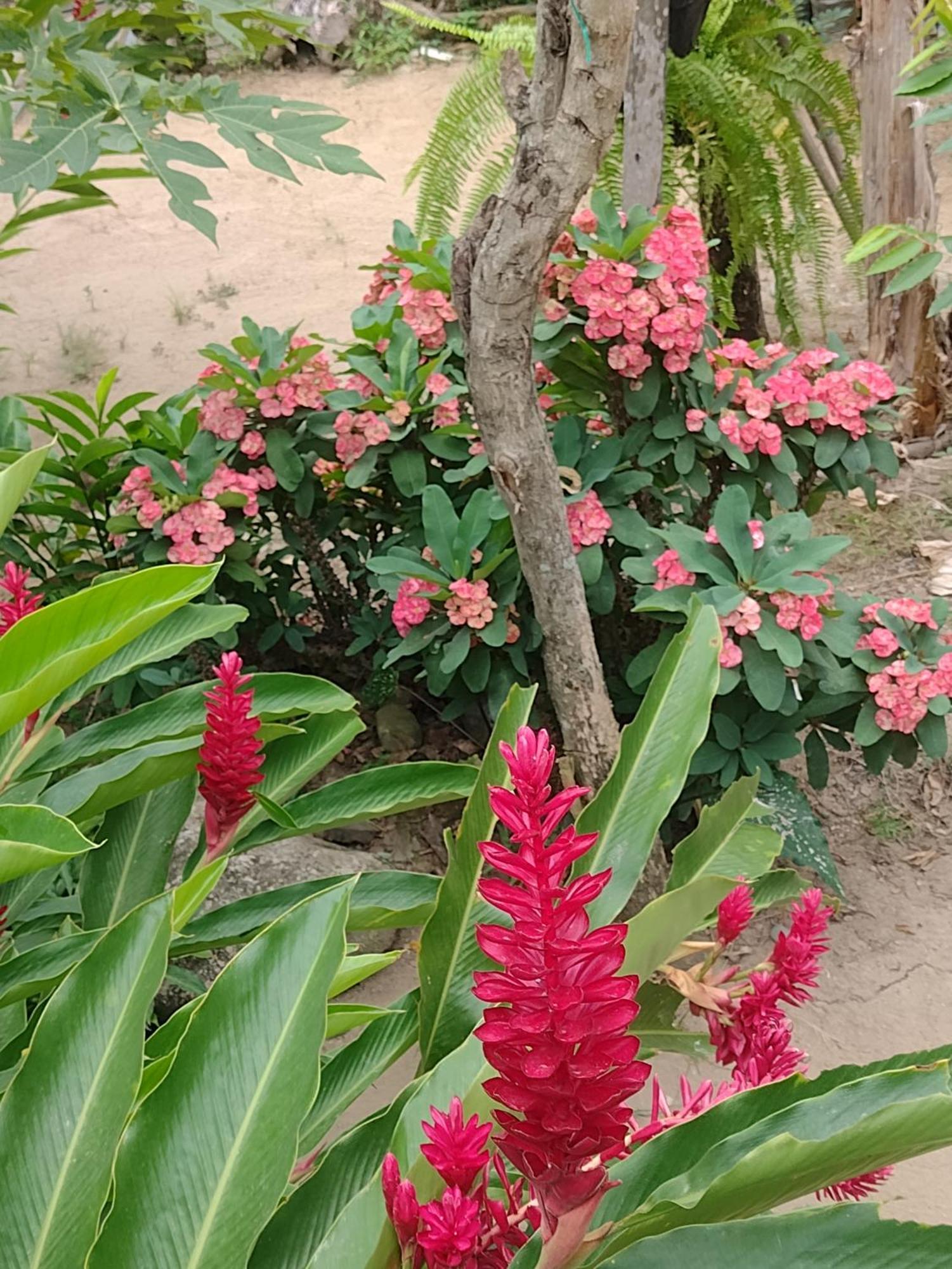 Casa Kumake Tayrona Villa El Zaino Dış mekan fotoğraf